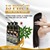 Dầu gội phủ bạc Sin Hair Argan Oil Nhật Bản 500ml màu nâu 2