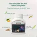 Viên Uống Vitatree Lung Detox – Vitatree – Hỗ Trợ Chăm Sóc Sức Khỏe Đường Hô Hấp & Bổ Sung Thảo Dược – Hộp 60 Viên Úc 4